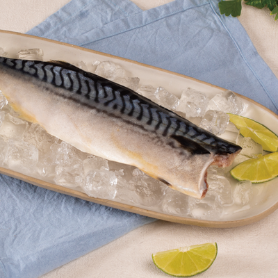 薄鹽挪威鯖魚生切片